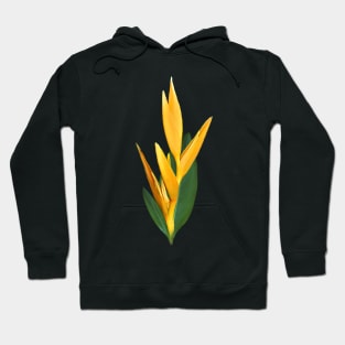 Heliconia - Tropical - Flower in Kenya / Africa Hoodie